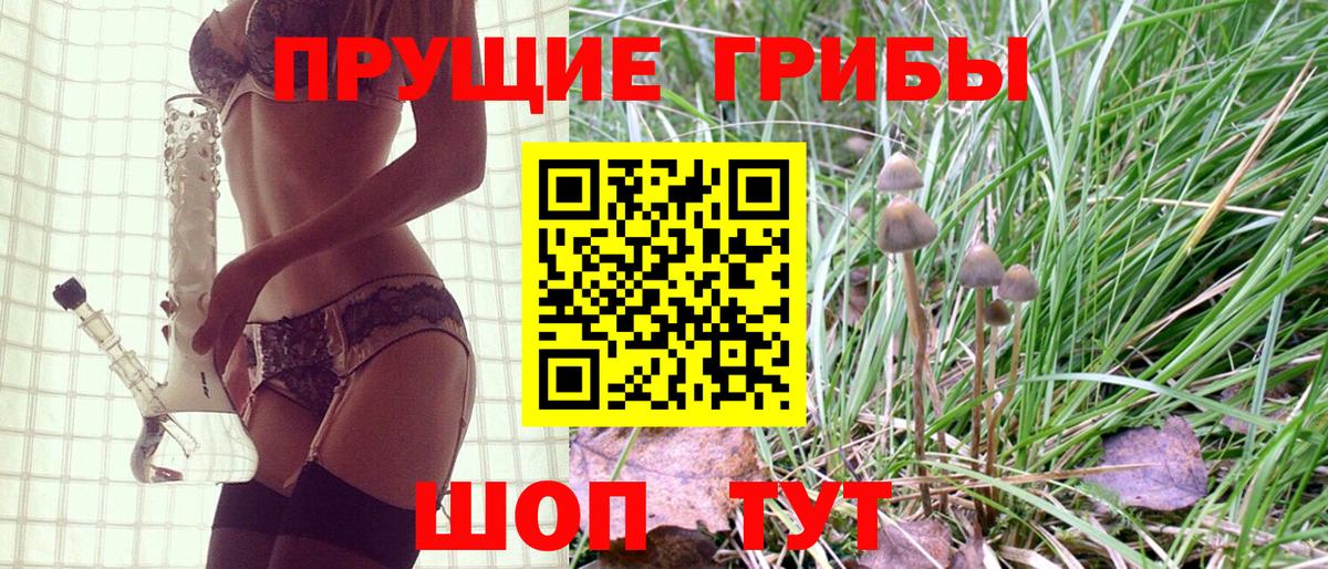 Галлюциногенные грибы мухоморы  Вход с VPN  Михайловка  Галлюциногенные грибы Magic Shrooms 